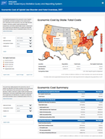 Economic Cost of Opioid Use Disorder and Fatal Overdose dashboard showing a map of the United States with economic impact by state